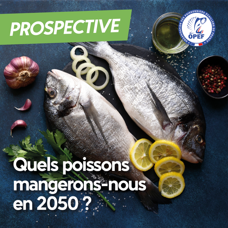 Quels poissons mangerons-nous en 2050 ?