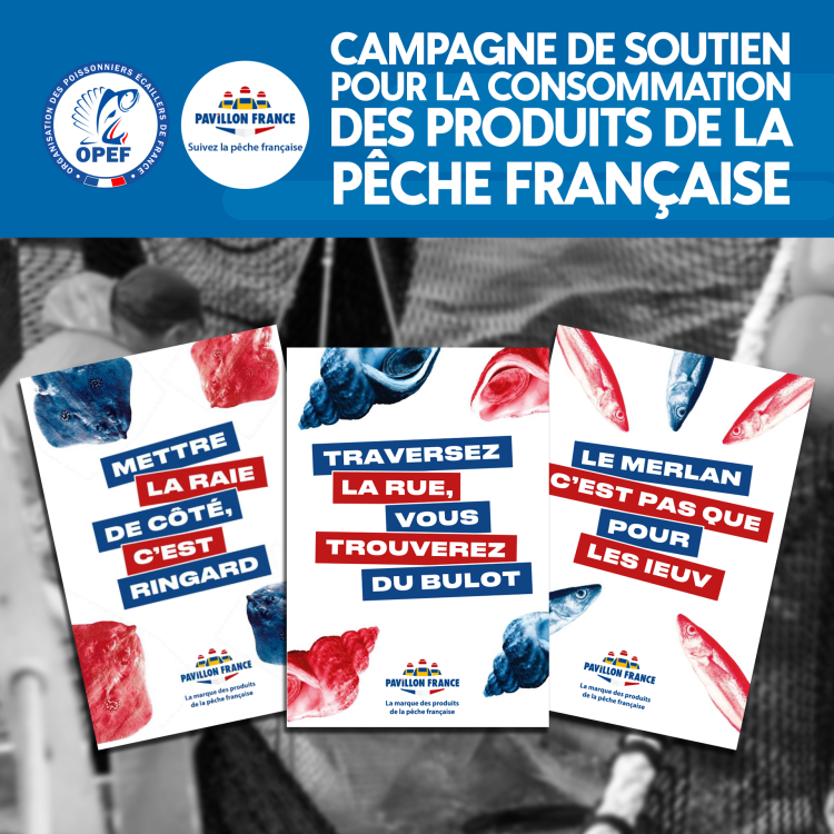 Campagne de soutien pour la consommation des produits de la pêche française