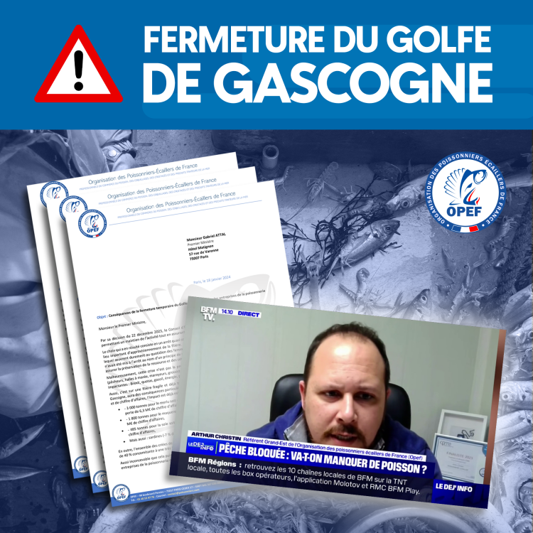 FERMETURE DU GOLFE DE GASCOGNE : INTERVENTIONS DE L'OPEF!