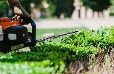 ESPACES VERTS ESPACES VERTS